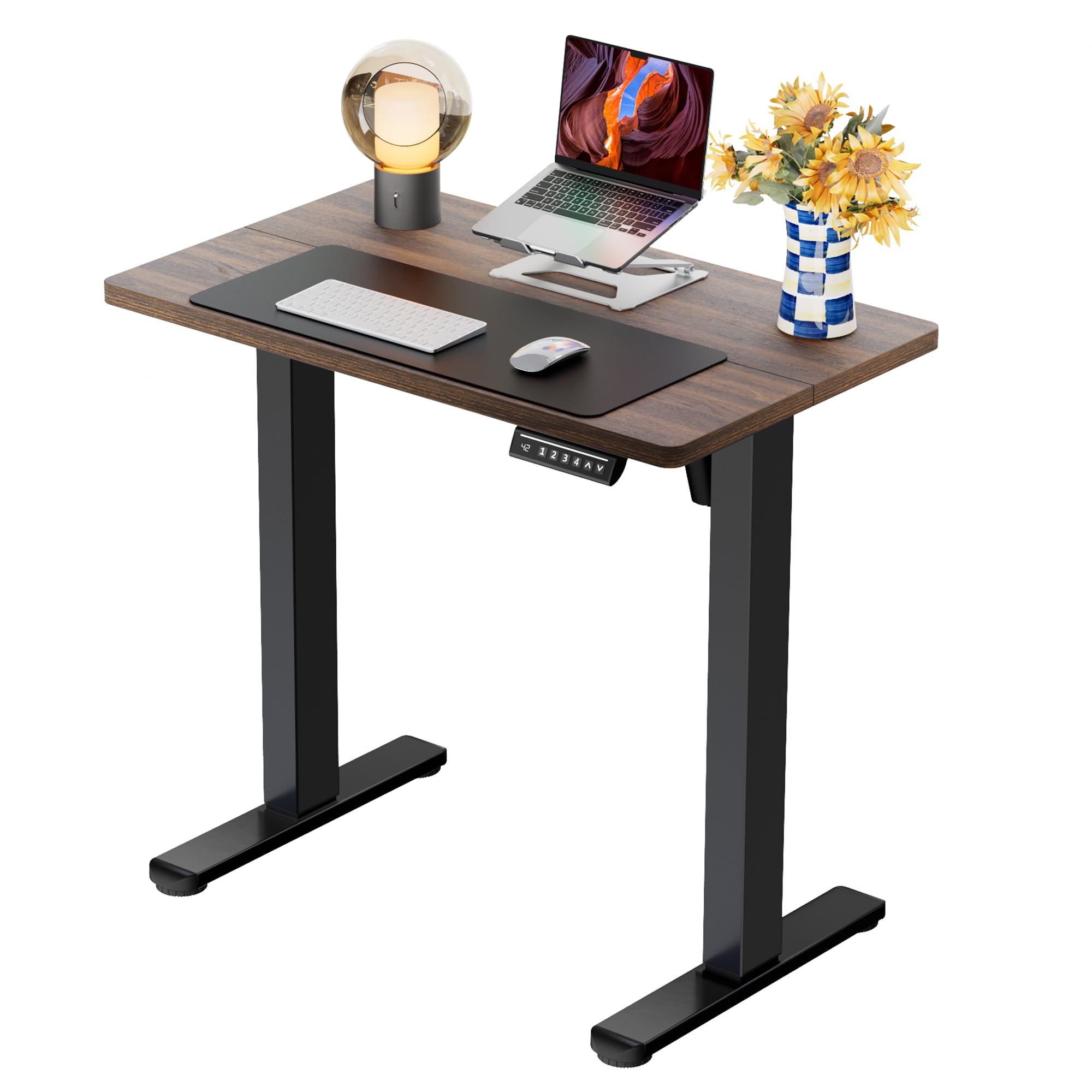 ErGear Height Adjustable Electric Standing Desk, 48 x 24 Inches Sit Stand up Desk, Memory Computer Home Office Desk, Black