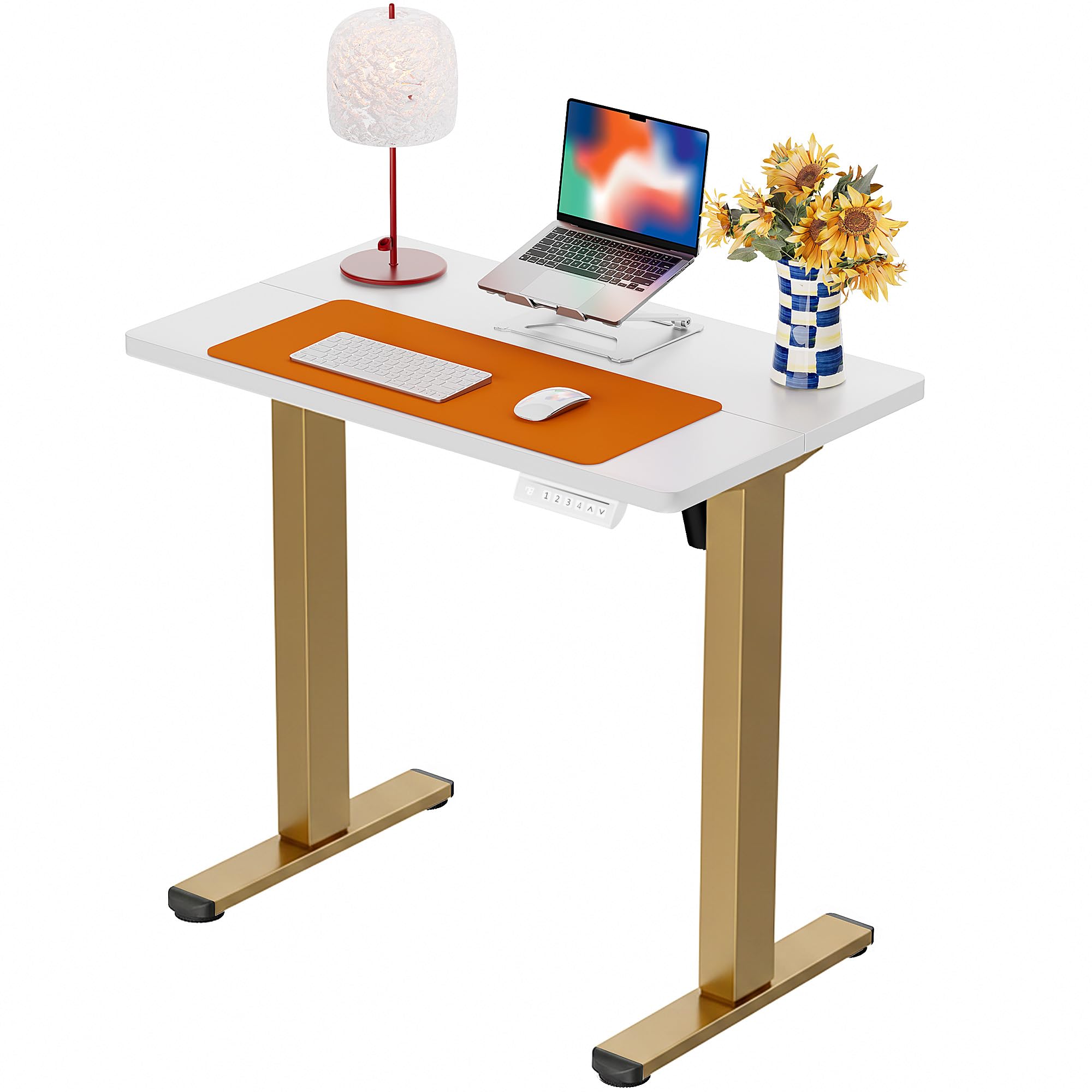ErGear Height Adjustable Electric Standing Desk, 48 x 24 Inches Sit Stand up Desk, Memory Computer Home Office Desk, Black