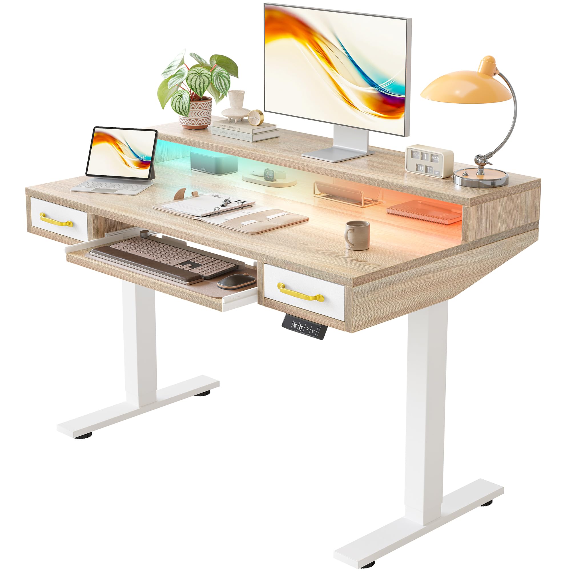 TIQLAB Standing Desk with Two Drawers, Stand Up Standing Desk Adjustable Height, Electric Sit Stand Table with Storage Shelf and Splice Board, 55 * 24 inch, Maple