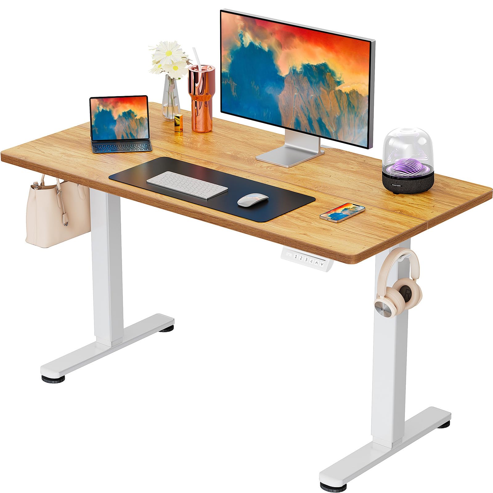 ErGear Height Adjustable Electric Standing Desk, 48 x 24 Inches Sit Stand up Desk, Memory Computer Home Office Desk, Black