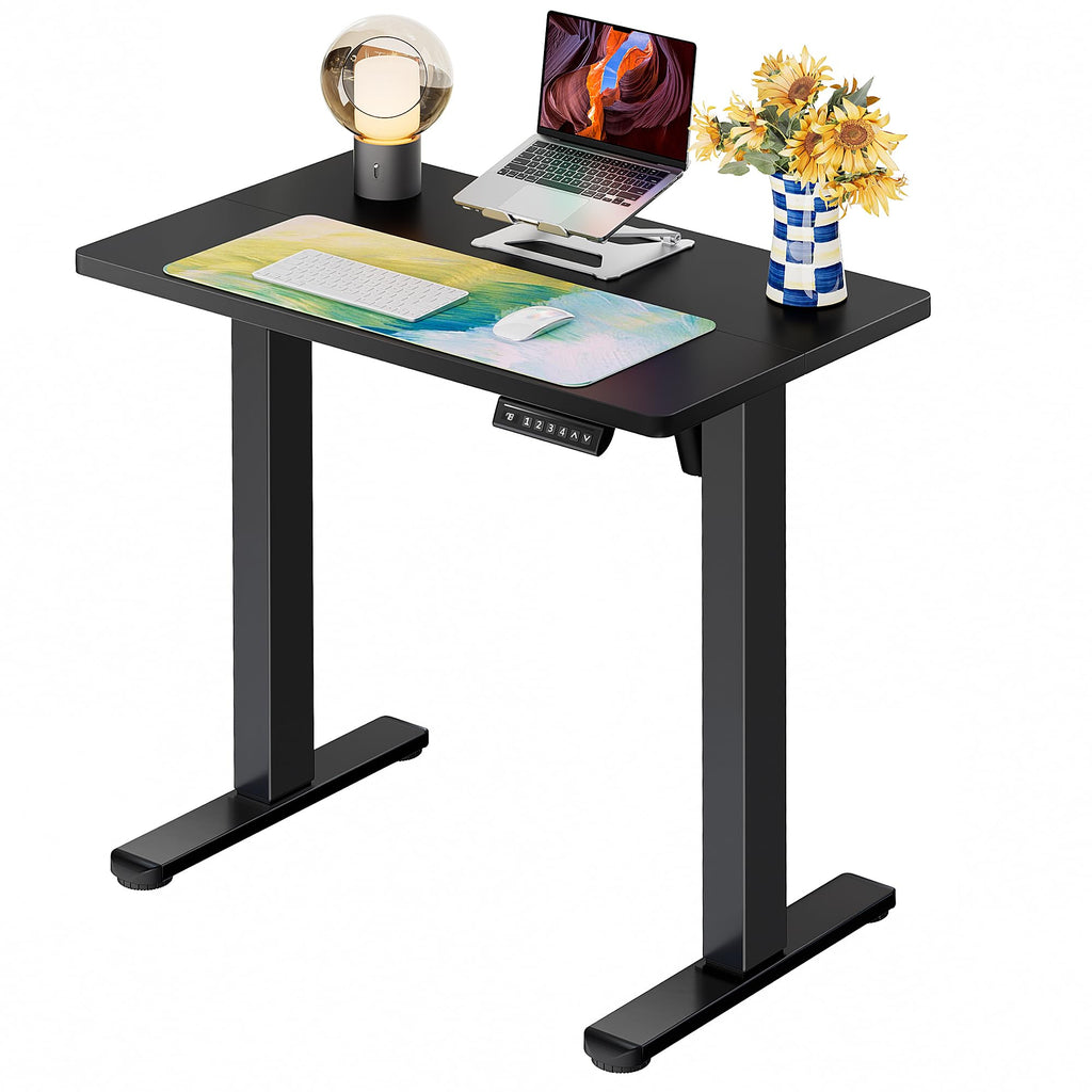 ErGear Height Adjustable Electric Standing Desk, 48 x 24 Inches Sit Stand up Desk, Memory Computer Home Office Desk, Black