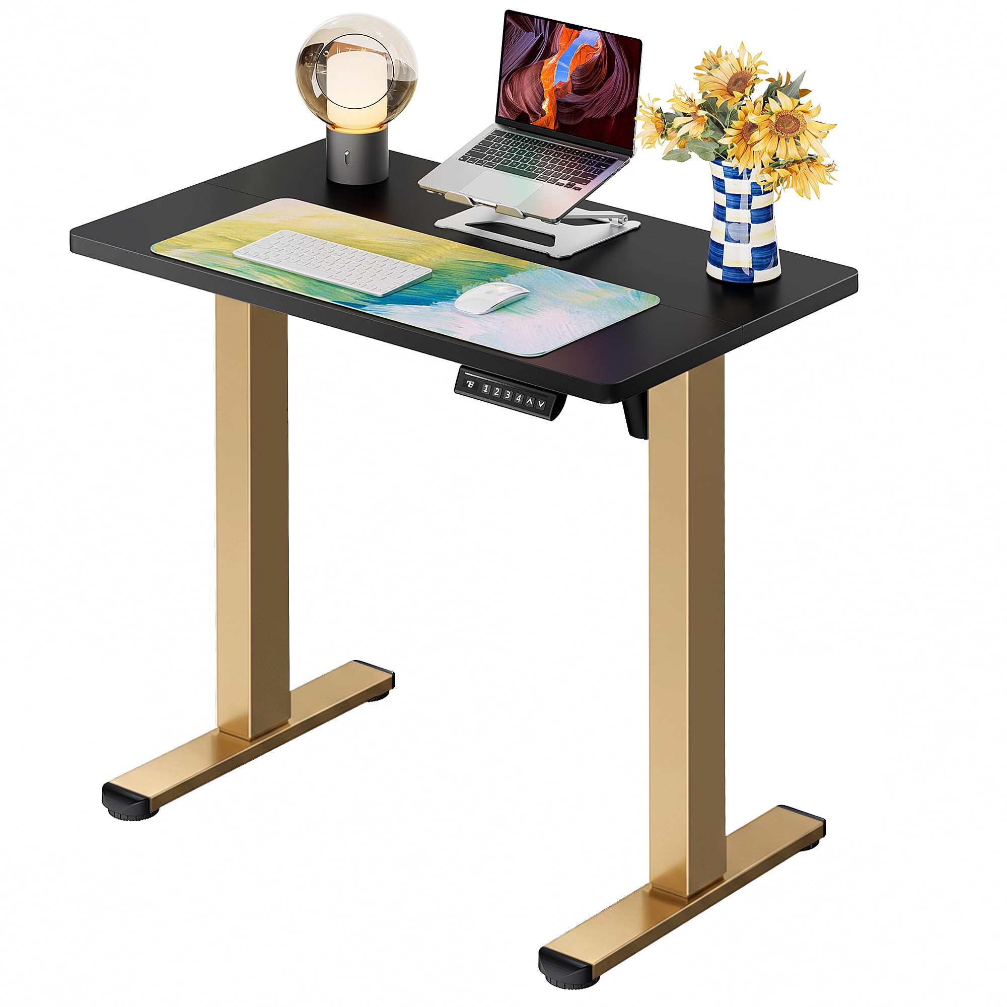 ErGear Height Adjustable Electric Standing Desk, 48 x 24 Inches Sit Stand up Desk, Memory Computer Home Office Desk, Black