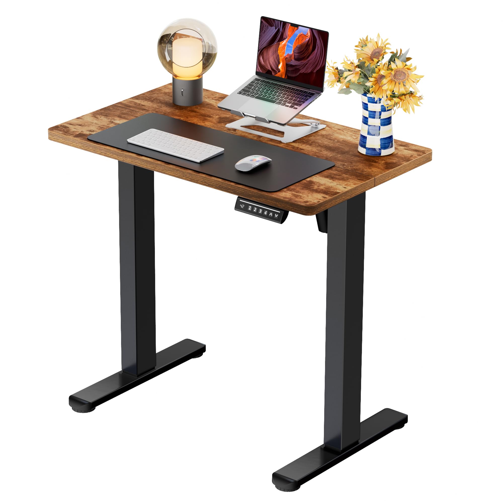 ErGear Height Adjustable Electric Standing Desk, 48 x 24 Inches Sit Stand up Desk, Memory Computer Home Office Desk, Black