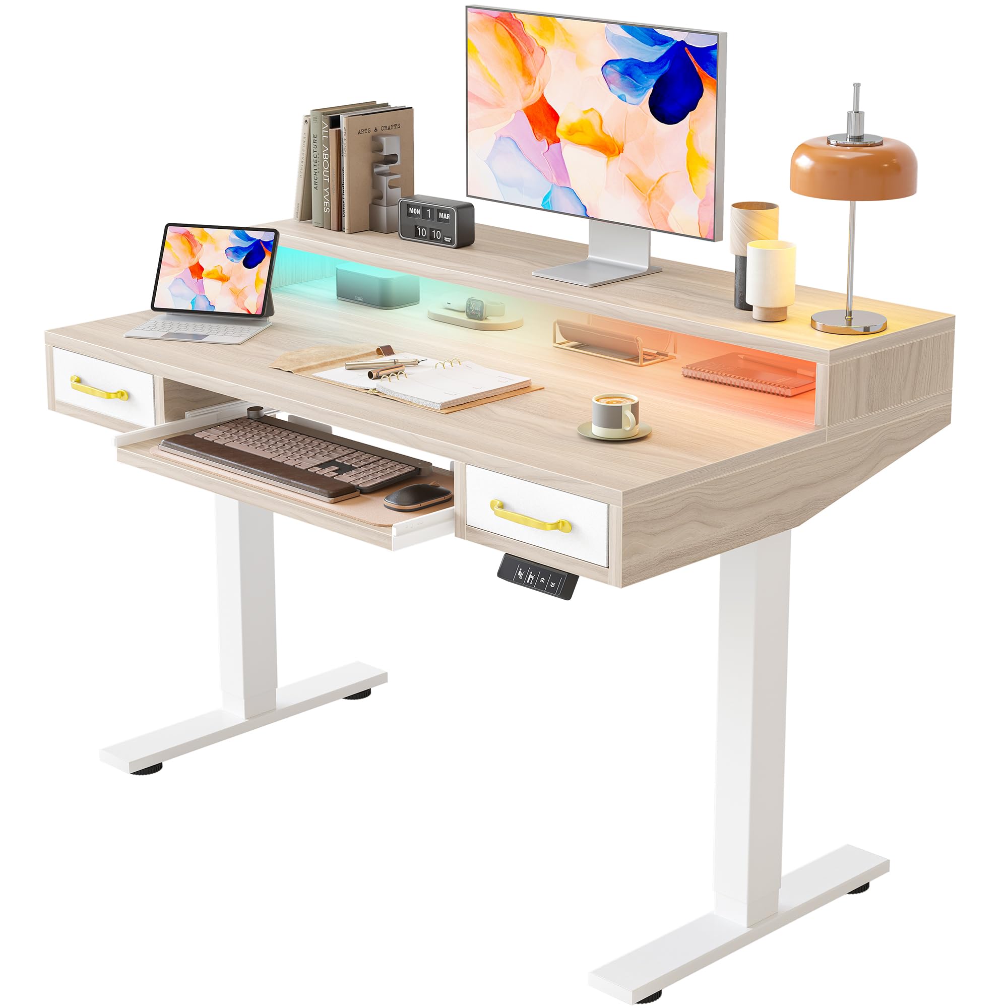 TIQLAB Standing Desk with Two Drawers, Stand Up Standing Desk Adjustable Height, Electric Sit Stand Table with Storage Shelf and Splice Board, 55 * 24 inch, Maple