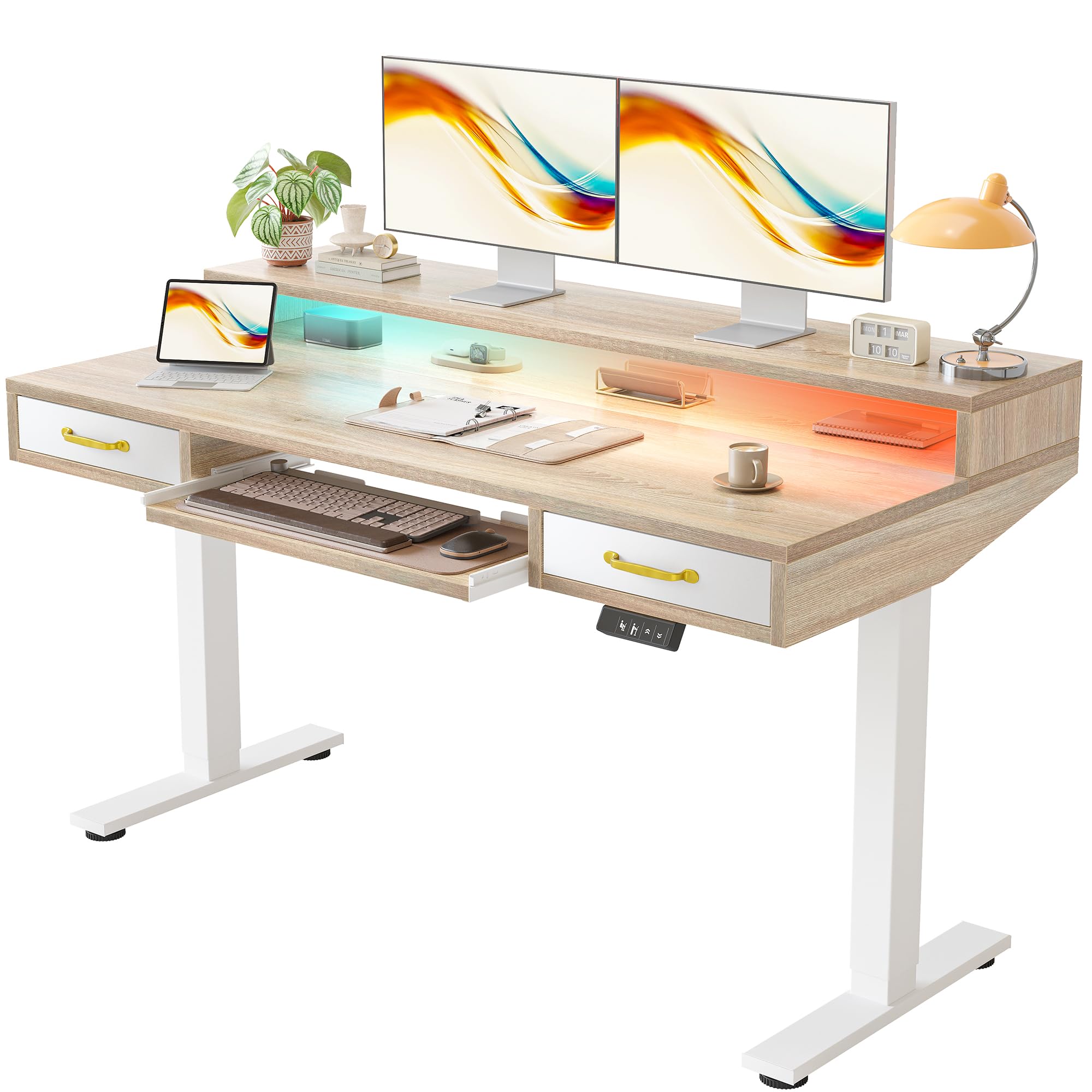TIQLAB Standing Desk with Two Drawers, Stand Up Standing Desk Adjustable Height, Electric Sit Stand Table with Storage Shelf and Splice Board, 55 * 24 inch, Maple