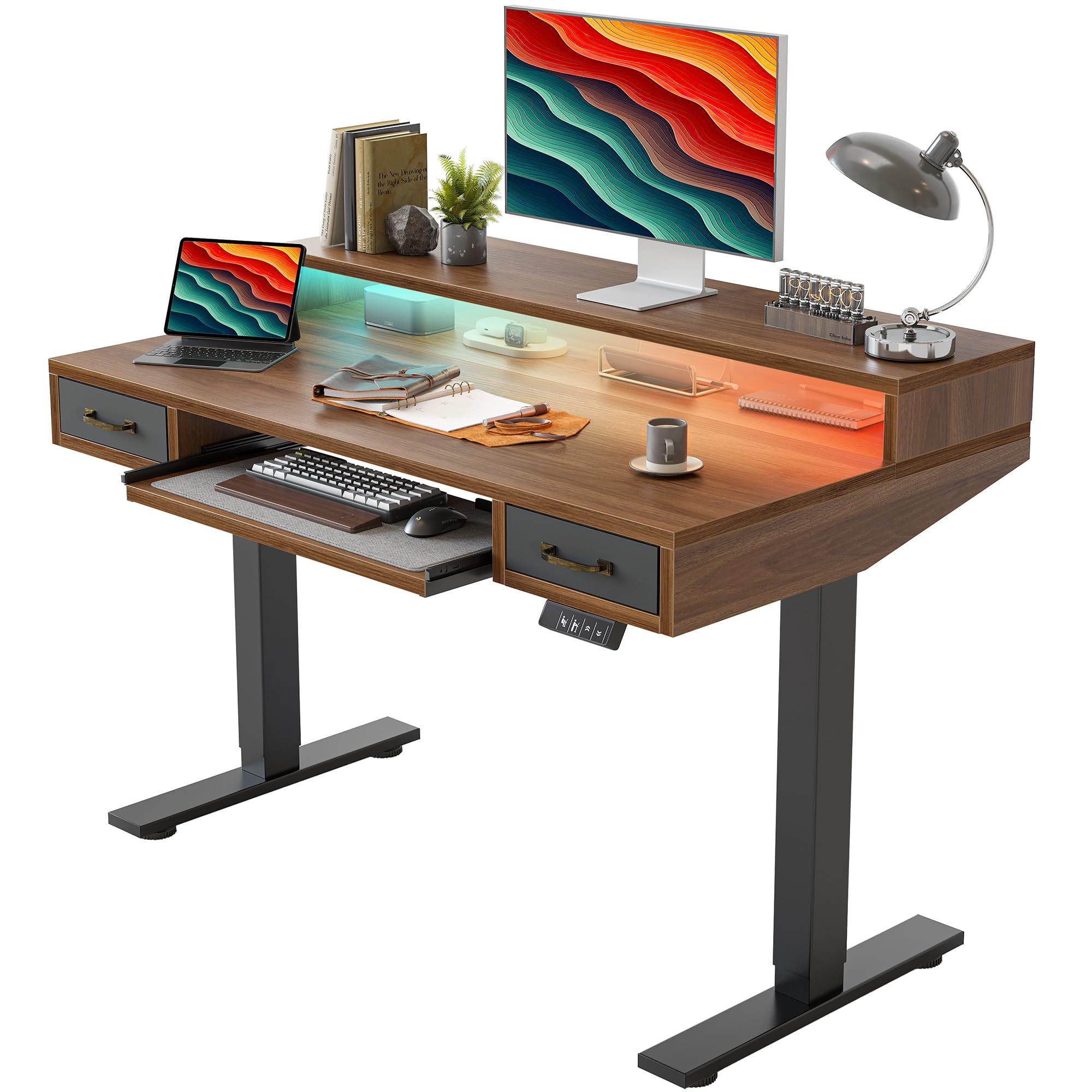 TIQLAB Standing Desk with Two Drawers, Stand Up Standing Desk Adjustable Height, Electric Sit Stand Table with Storage Shelf and Splice Board, 55 * 24 inch, Maple